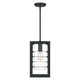 Quoizel - Bimini Outdoor Pendant - Lights Canada