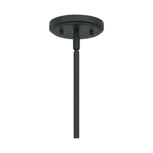 Quoizel - Bimini Outdoor Pendant - Lights Canada