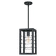 Quoizel - Bimini Outdoor Pendant - Lights Canada