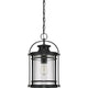 Quoizel - Booker Mini Pendant - Lights Canada