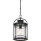 Quoizel - Booker Mini Pendant - Lights Canada