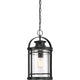 Quoizel - Booker Mini Pendant - Lights Canada