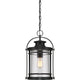 Quoizel - Booker Outdoor Pendant - Lights Canada