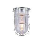 Canarm - Outdoor Barn Ceiling/Wall Light - Lights Canada
