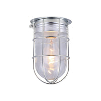 Outdoor Barn Ceiling/Wall Light