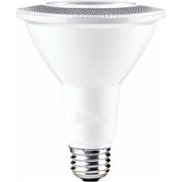 11W Dimmable LED PAR30 3000K 120V