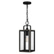 Quoizel - Bramshaw Mini Pendant - Lights Canada