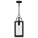 Quoizel - Bramshaw Mini Pendant - Lights Canada