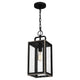 Quoizel - Bramshaw Mini Pendant - Lights Canada