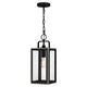 Quoizel - Bramshaw Mini Pendant - Lights Canada