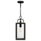 Quoizel - Bramshaw Outdoor Pendant - Lights Canada