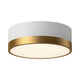 Alora Mood - Alora Mood Brisbane 12 Inch Flush Mount - Lights Canada