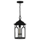 Quoizel - Brampton Mini Pendant - Lights Canada