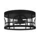 Quoizel - Brampton Outdoor Ceiling Light - Lights Canada