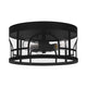 Quoizel - Brampton Outdoor Ceiling Light - Lights Canada