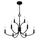 Quoizel - Briar Chandelier - Lights Canada