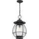 Quoizel - Boston Outdoor Pendant - Lights Canada