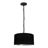 Braxton 1 Light 14 Inch Pendant