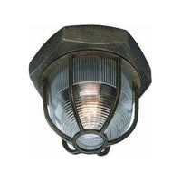Acme Flush Mount