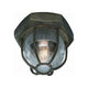 Troy - Acme Flush Mount - Lights Canada