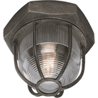 Troy - Acme Flush Mount - Lights Canada