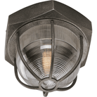 Troy - Acme Flush Mount - Lights Canada