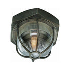 Troy - Acme Flush Mount - Lights Canada
