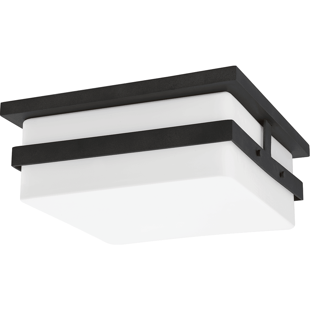 Troy - Sutter County 2-Light Outdoor Ceiling Light - Lights Canada