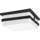 Troy - Sutter County 2-Light Outdoor Ceiling Light - Lights Canada