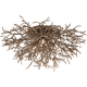 Troy - Sierra Flush Mount - Lights Canada