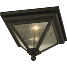 Troy - Geneva Outdoor Ceiling Light - Lights Canada