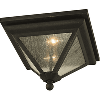 Geneva Outdoor Ceiling Light