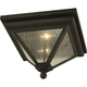 Troy - Geneva Outdoor Ceiling Light - Lights Canada