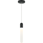 Matteo - Aydin 1-Light Mini Pendant - Lights Canada