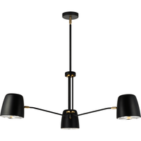 Luca Chandelier
