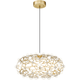 Matteo - Coral Chandelier - Lights Canada