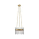 Alora - Carlisle Chandelier - Lights Canada