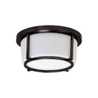 Dainolite - 1 Light 10 Inch Flush Mount - Lights Canada