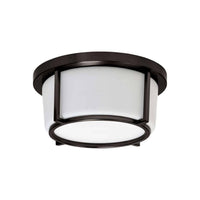 1 Light 10 Inch Flush Mount