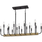 Quoizel - Coda Linear Suspension - Lights Canada
