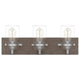 Quoizel - Craven Vanity Light - Lights Canada