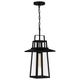 Quoizel - Devonport Mini Pendant - Lights Canada