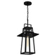 Quoizel - Devonport Mini Pendant - Lights Canada