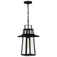 Quoizel - Devonport Mini Pendant - Lights Canada