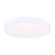Canarm - LED Disk Flush Mount - Lights Canada