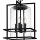 Quoizel - Damien Pendant - Lights Canada