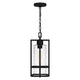 Quoizel - Damien Outdoor Pendant - Lights Canada