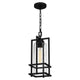Quoizel - Damien Outdoor Pendant - Lights Canada