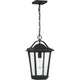 Quoizel - Darius Outdoor Pendant - Lights Canada
