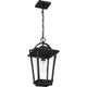 Quoizel - Darius Outdoor Pendant - Lights Canada